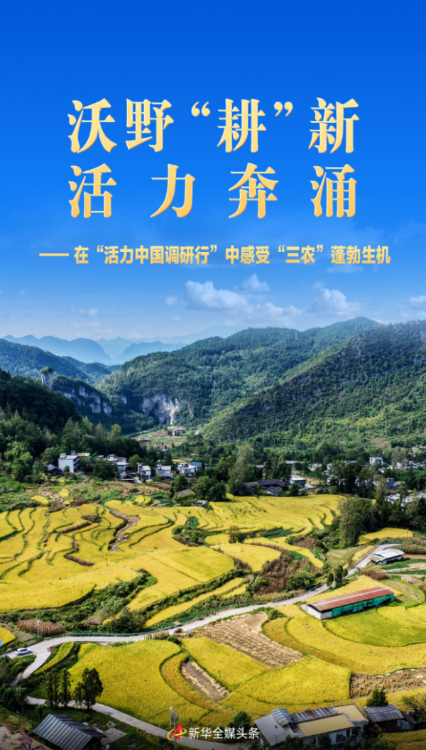 极速电竞